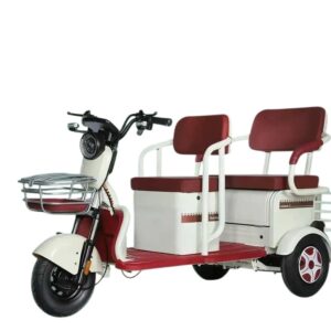 MOTO ELÉCTRICA DE TRES RUEDAS