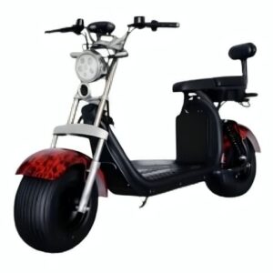 MOTO ELÉCTRICA TIPO CHOPPER